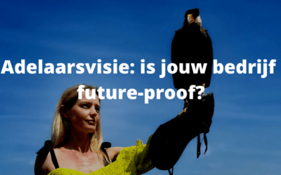 Adelaarsvisie: is jouw bedrijf future proof?